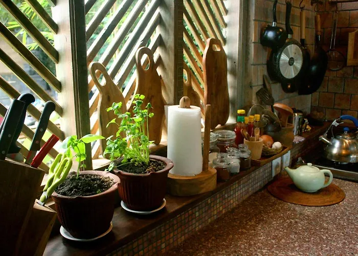 Noka House Wabi-sabi Artist Eco In * Ubud