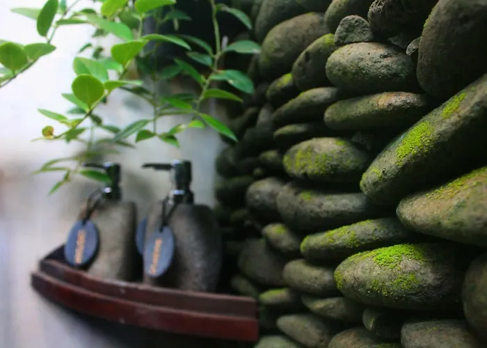 Noka House Wabi-sabi Artist Eco In Villa Ubud